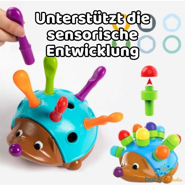 -30% Montessori Igel Spielzeug Interaktives Spielzeug babyparadies   